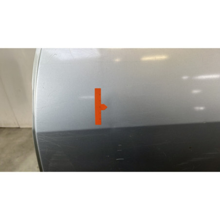 Porte arriere gauche DACIA LOGAN 1