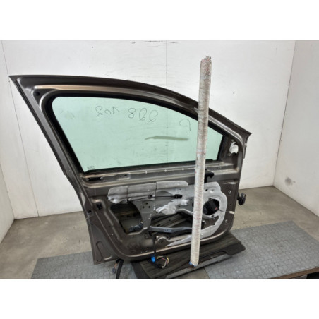 Porte avant gauche RENAULT CLIO 3
