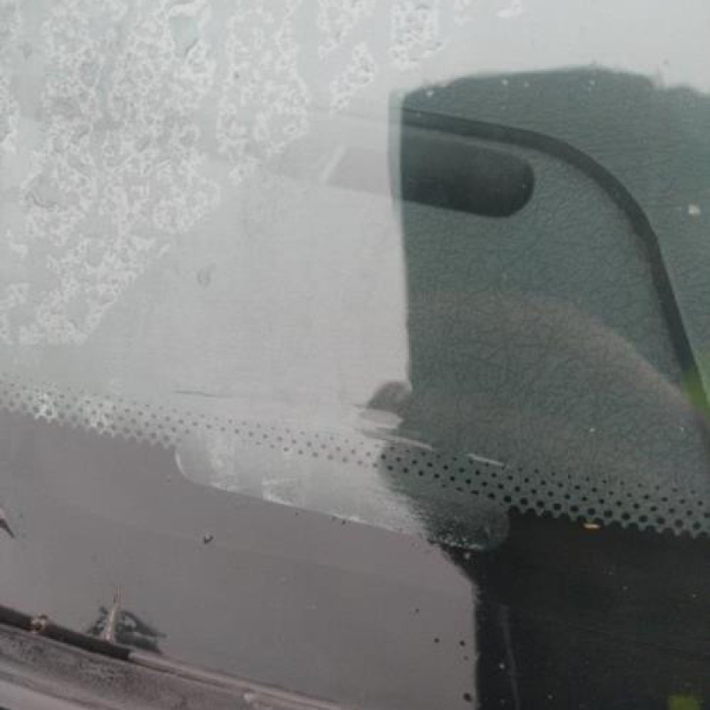 Pulseur d'air CITROEN XSARA Photo n°8