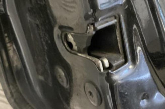 Porte arriere gauche DACIA LOGAN 1