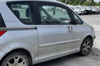 Calandre PEUGEOT 1007