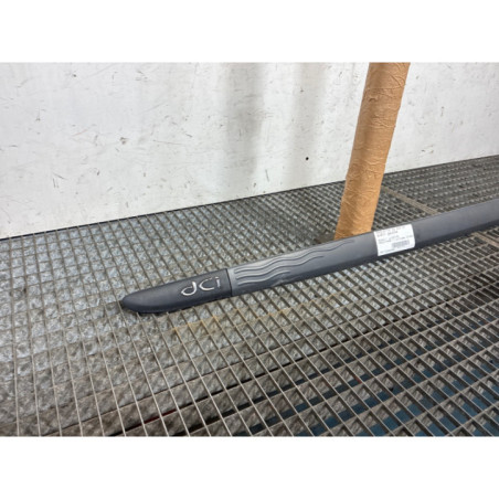 Baguette de porte avant gauche RENAULT MODUS