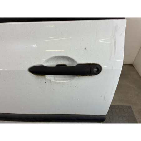 Porte avant gauche RENAULT CLIO 3 Photo n°1