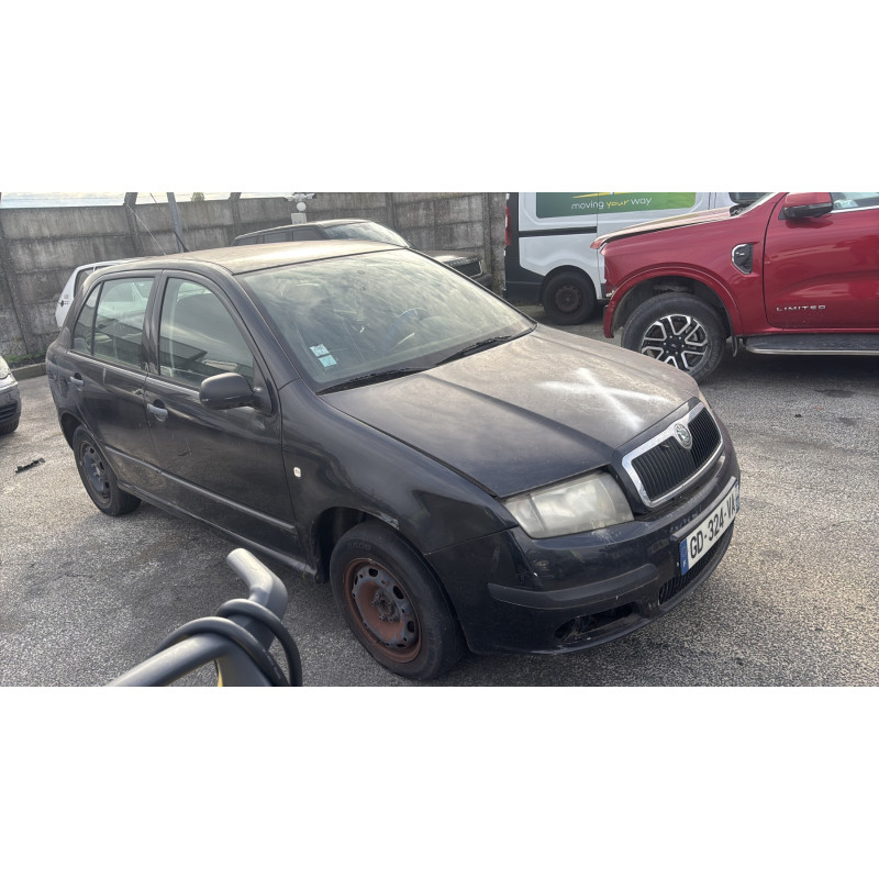 Porte avant droit SKODA FABIA 1 Photo n°6