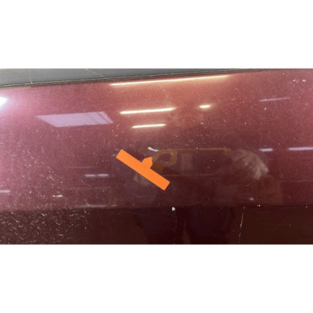 Porte avant gauche RENAULT SCENIC 2