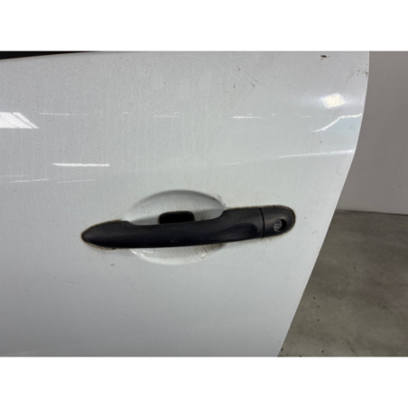 Porte avant gauche RENAULT MEGANE 3 Photo n°1