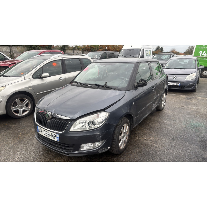 Porte arriere droit SKODA FABIA 2 Photo n°7