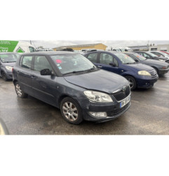 Porte arriere droit SKODA FABIA 2