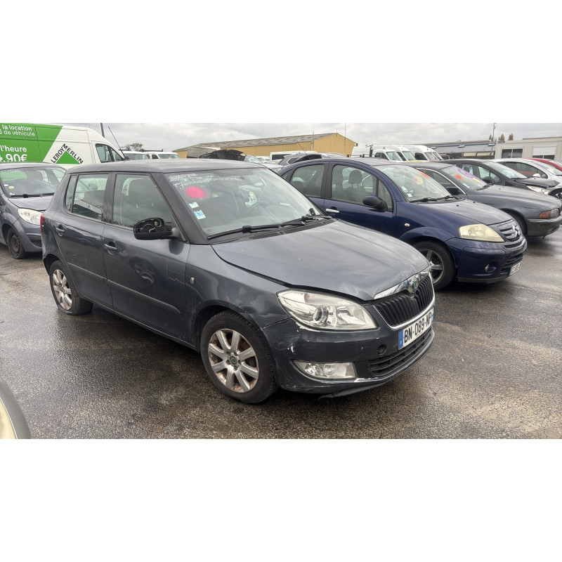 Porte arriere droit SKODA FABIA 2 Photo n°8