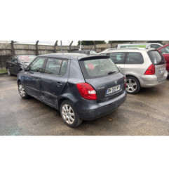 Porte arriere droit SKODA FABIA 2