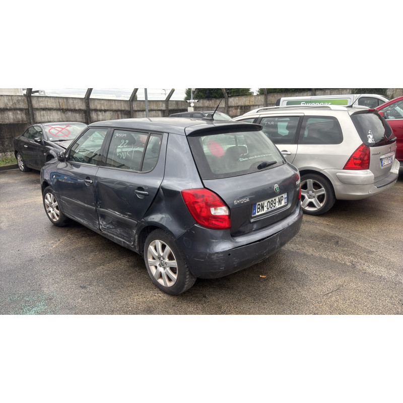 Porte arriere droit SKODA FABIA 2 Photo n°10