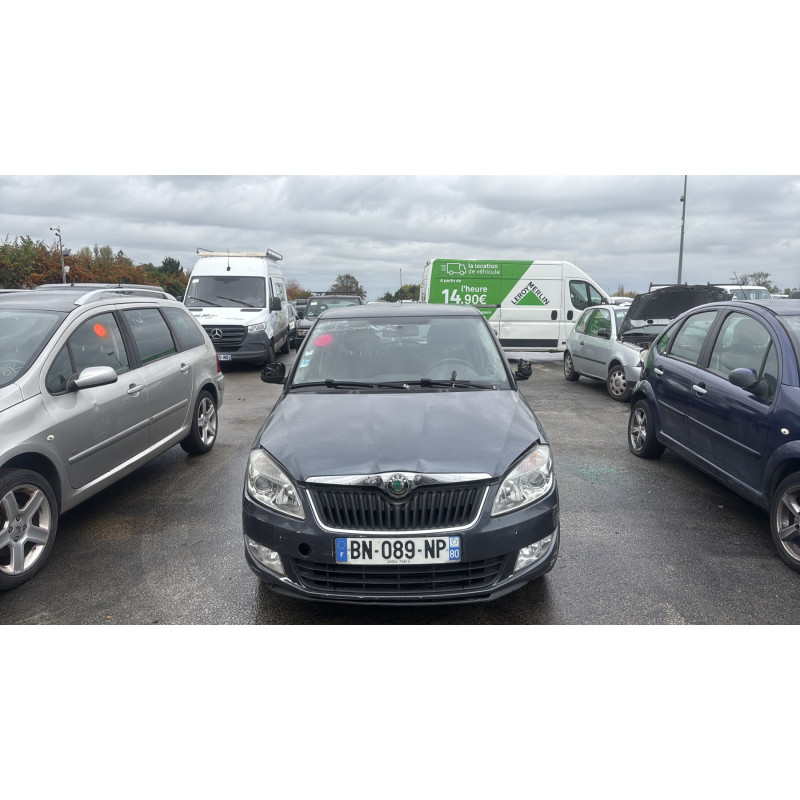 Porte arriere droit SKODA FABIA 2 Photo n°12