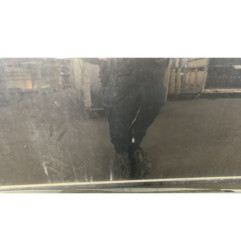 Porte avant gauche MERCEDES CLASSE M 164
