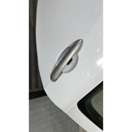 Porte arriere gauche RENAULT CLIO 3