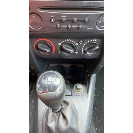Porte arriere gauche RENAULT CLIO 2