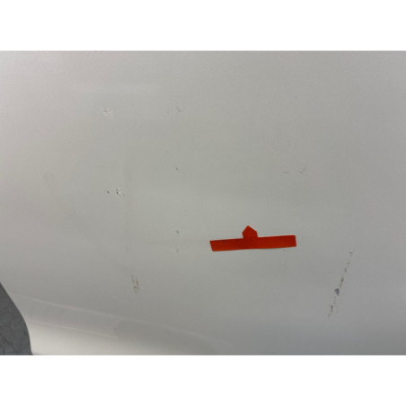 Porte arriere gauche NISSAN JUKE 1