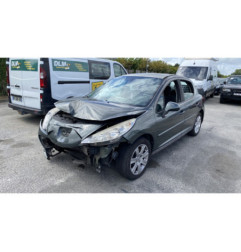 Porte arriere droit PEUGEOT 207