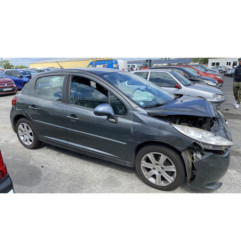 Porte arriere droit PEUGEOT 207