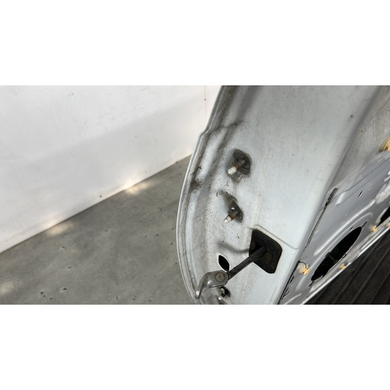 Porte avant droit DACIA SANDERO 1 Photo n°2