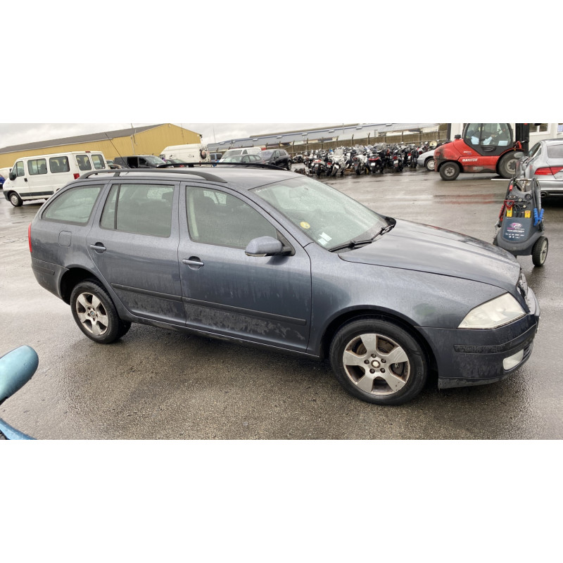 Porte arriere droit SKODA OCTAVIA 2 Photo n°1