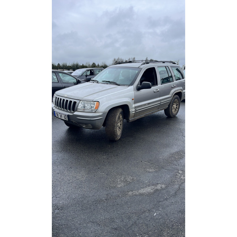 Porte avant gauche JEEP GRAND CHEROKEE 1 Photo n°6