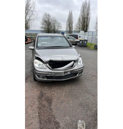 Porte arriere gauche MERCEDES CLASSE B 245