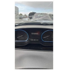 Porte arriere gauche PEUGEOT 2008 1