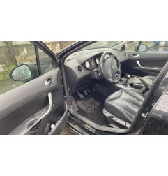 Porte arriere gauche PEUGEOT 308 1