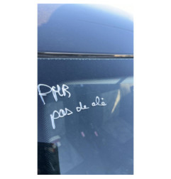Porte arriere droit DACIA SANDERO 1