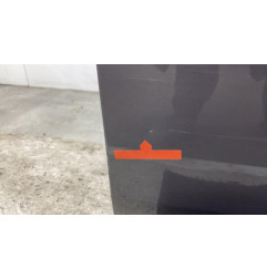 Porte avant droit RENAULT SCENIC 2 Photo n°1