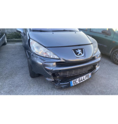 Porte arriere droit PEUGEOT 207