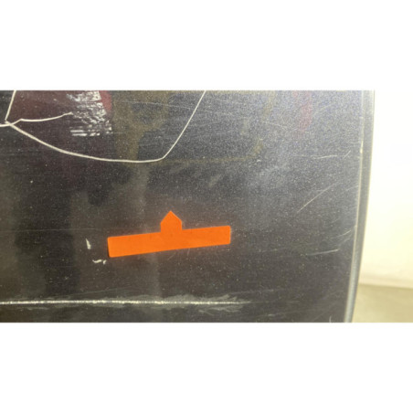 Porte arriere droit RENAULT SCENIC 2