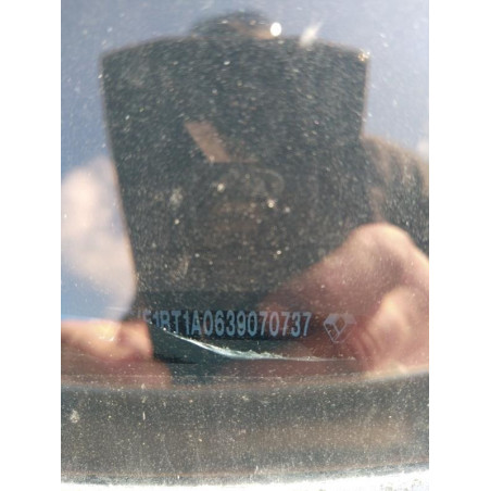 Porte arriere gauche RENAULT LAGUNA 3