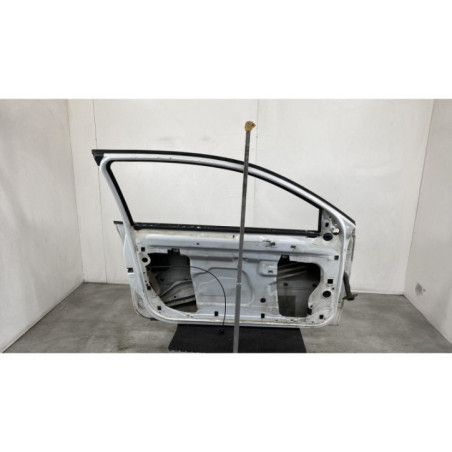 Porte avant gauche RENAULT MEGANE 2 Photo n°1