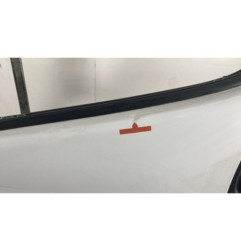 Porte avant gauche RENAULT TRAFIC 2 Photo n°1