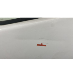 Porte avant gauche RENAULT TRAFIC 2