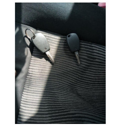 Porte arriere gauche DACIA SANDERO 1