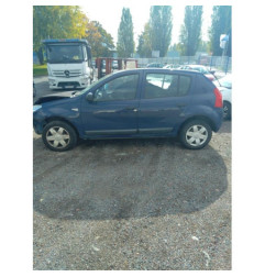 Porte arriere gauche DACIA SANDERO 1