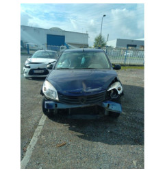 Porte arriere gauche DACIA SANDERO 1