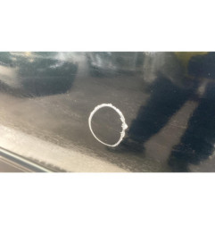 Porte arriere gauche RENAULT LAGUNA 3