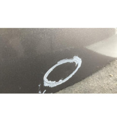 Porte arriere gauche RENAULT CLIO 3