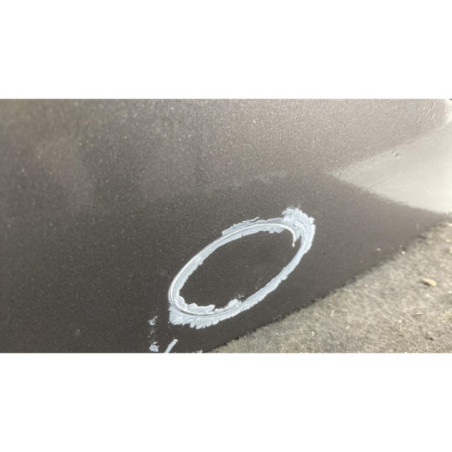 Porte arriere gauche RENAULT CLIO 3