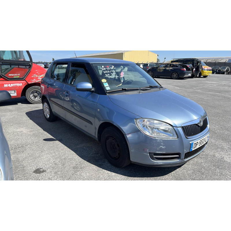 Porte arriere droit SKODA FABIA 2 Photo n°4