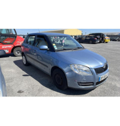 Porte arriere droit SKODA FABIA 2
