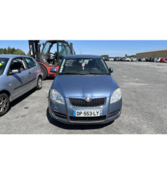 Porte arriere droit SKODA FABIA 2