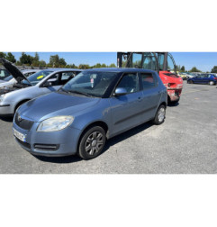 Porte arriere droit SKODA FABIA 2