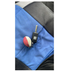 Porte arriere droit CITROEN C4 PICASSO 1