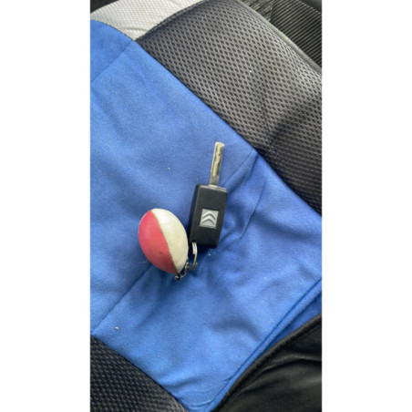 Porte arriere droit CITROEN C4 PICASSO 1
