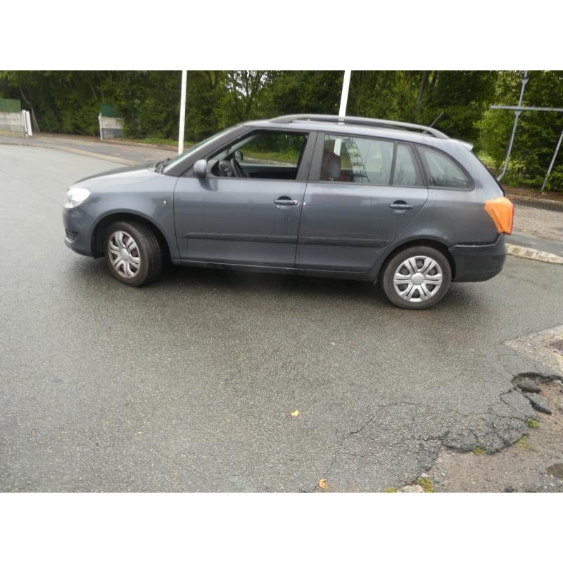 Porte arriere gauche SKODA FABIA 2 Photo n°6