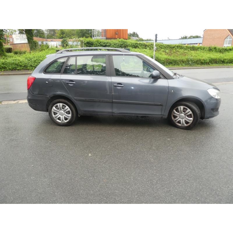 Porte arriere gauche SKODA FABIA 2 Photo n°7